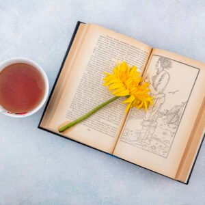 The Art of Storytelling: A Writer's Guide